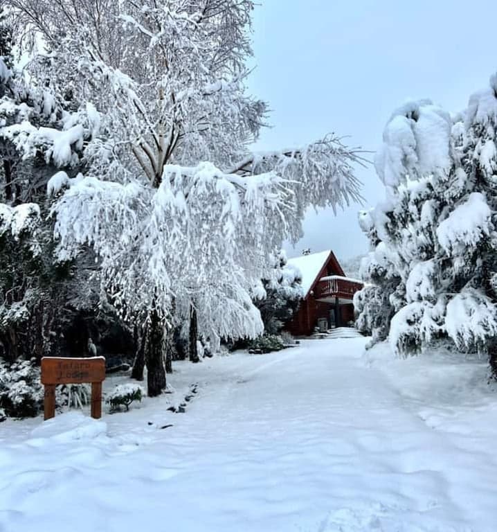 Totara Lodge | Snow | Couple Retreat - ML7564